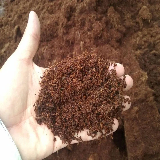 coco-peat-farming-2.webp