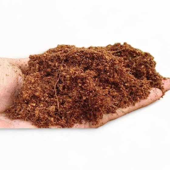 coco-peat-loose-1.webp