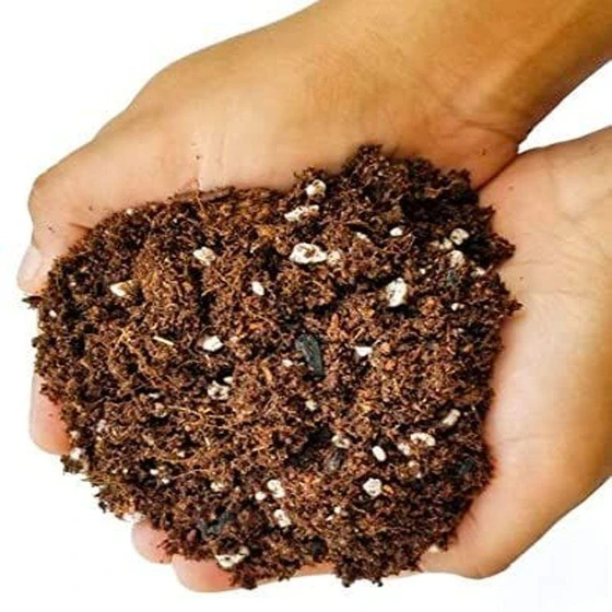 coco-peat-potting-soil-2.webp