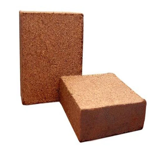 succulent-coco-peat-2.webp