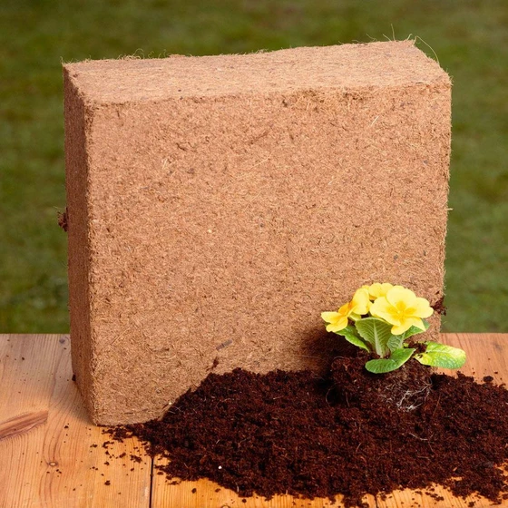 coconut-compost-1.webp
