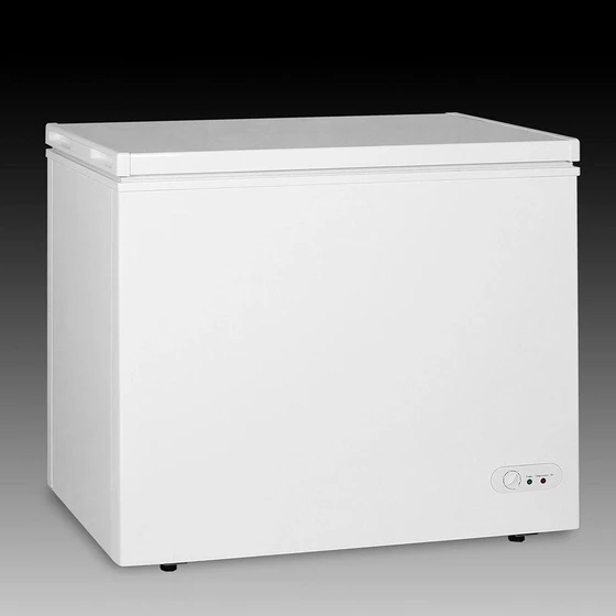 western-deep-freezer-2.webp