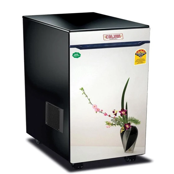 viva-domestic-flour-mill-2.webp