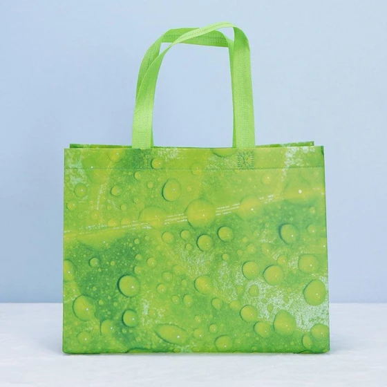printed-pp-non-woven-fabric-bag-2.webp