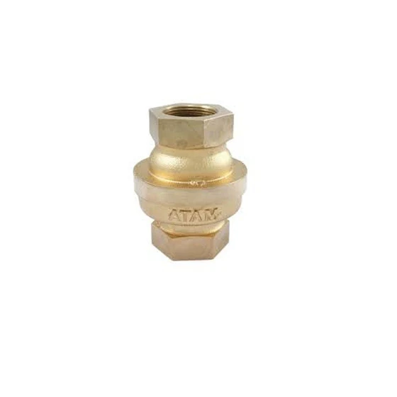 ci-non-return-av-valves-2.webp
