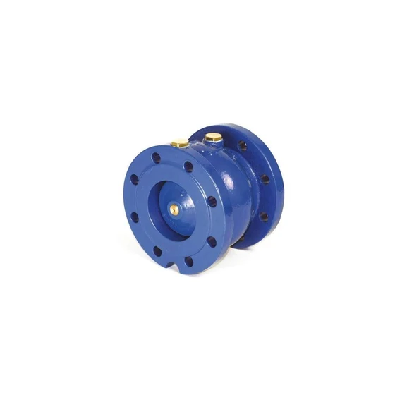 mild-steel-blue-ci-non-return-valve-2.webp