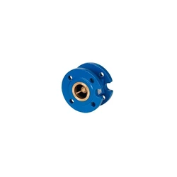 Mild Steel Blue CI Non Return Valve, 2 inch size