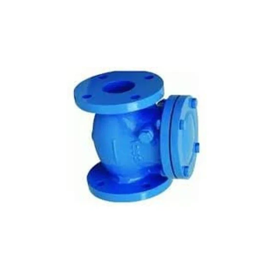 non-return-valve-blue-cast-iron-2.webp