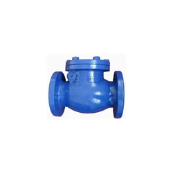 Non Return Valve Blue Cast Iron, Hydraulic pipe