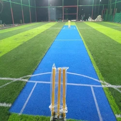 Artificial Sports Polyethylene Cricket Pitch, Blue