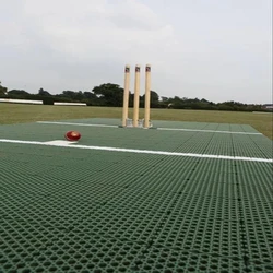 Portable Polypropylene Cricket Pitch, Brown colour