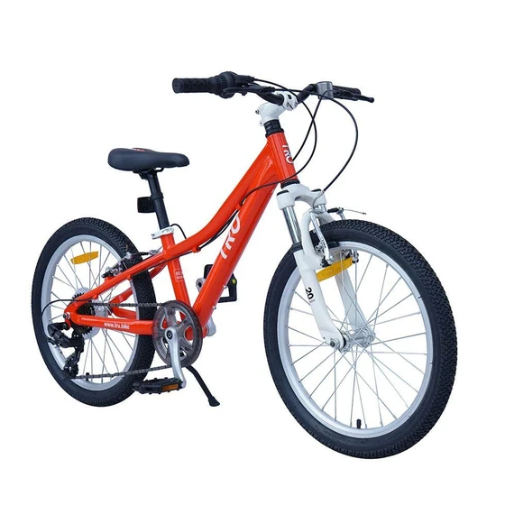 red-gear-cycle-2.webp