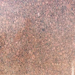 Top Classic Strong Safari Brown Granite Countertops
