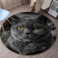 Polyester Fiber 3D Carpet Wear resistance, easy clean