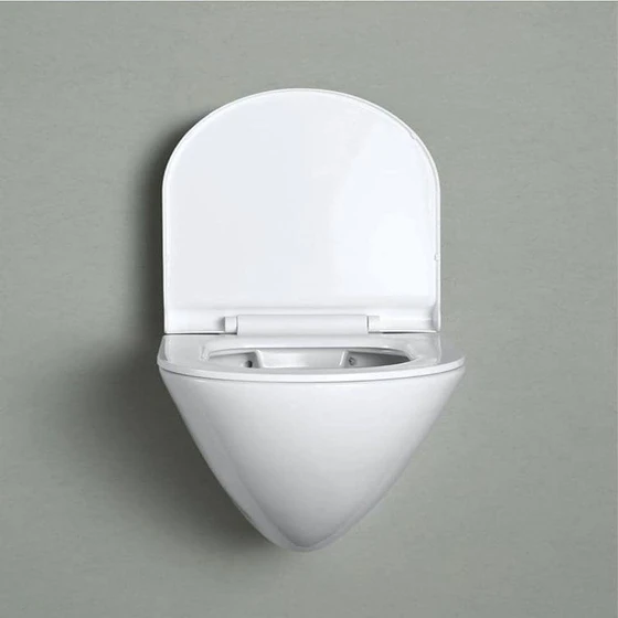 wall-mounted-hung-2.webp