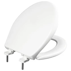 Plastic Toilet Seat