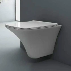Designer Mounted Toilet