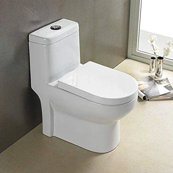 mounted-floor-toilet-seat-2.webp
