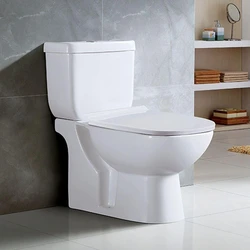 Mounted Floor Toilet Seat