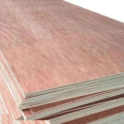 Gurjan Brown Plywood