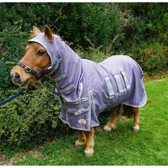 miniature-horse-rug-2.webp