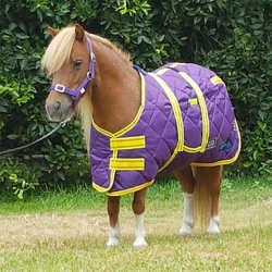 Miniature Horse Rug
