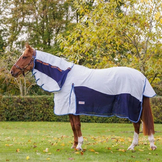 horse-summer-rugs-2.webp