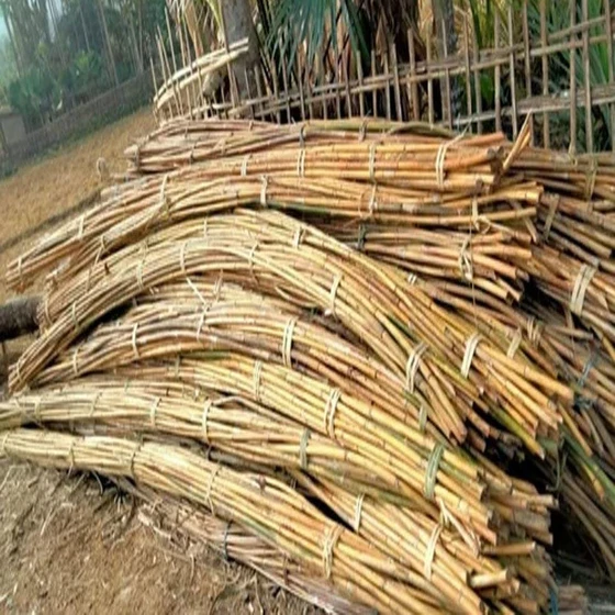 bamboo-natural-cane-1.webp