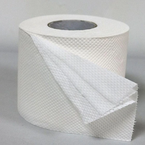 toilet-paper-roll-1.webp