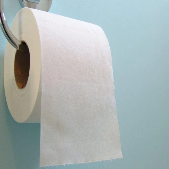toilet-paper-roll-2.webp