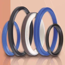 Wiper Seals