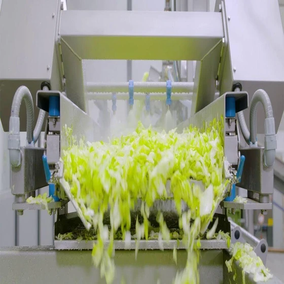 vegetable-processing-plant-2.webp