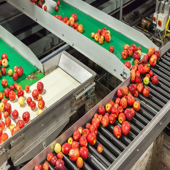 food-processing-plant-2.webp