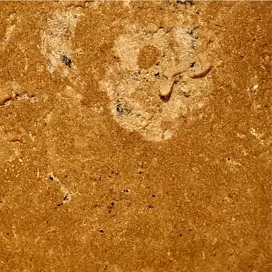 sandstone-2.webp