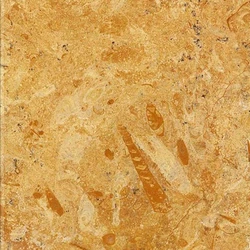 Flower Gold Sandstone