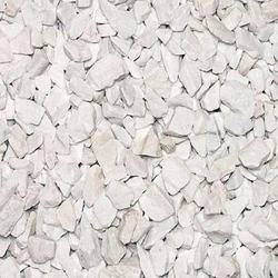 Pet Chips Scrap