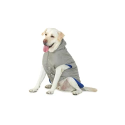 Dog Jacket 