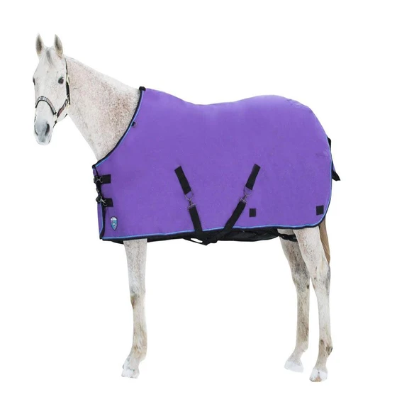 horse-turnout-blanket-2.webp