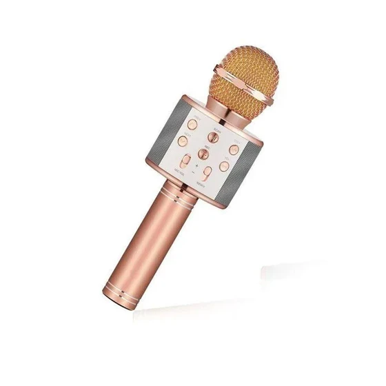 domo-karaoke-microphones-2.webp