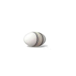 Cricket Ball White