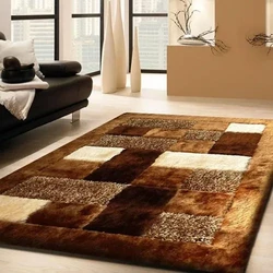Shaggy Room Rugs