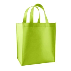Non Woven Shopping Bags