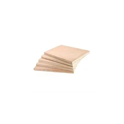 Gold Black Plywood