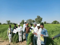 ORGANIC FERTILIZER