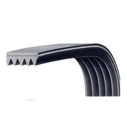 Ribbed V Belts 
