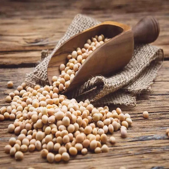 common-soyabean-meal-2.webp