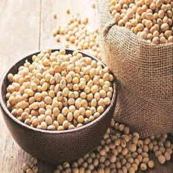 Common Soyabean Meal