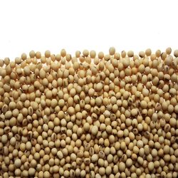 Taste Soyabean Meal