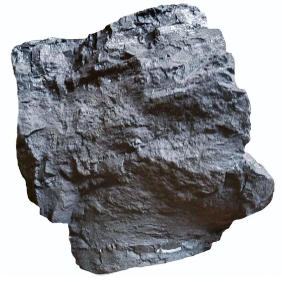 black-bio-coals-2.webp