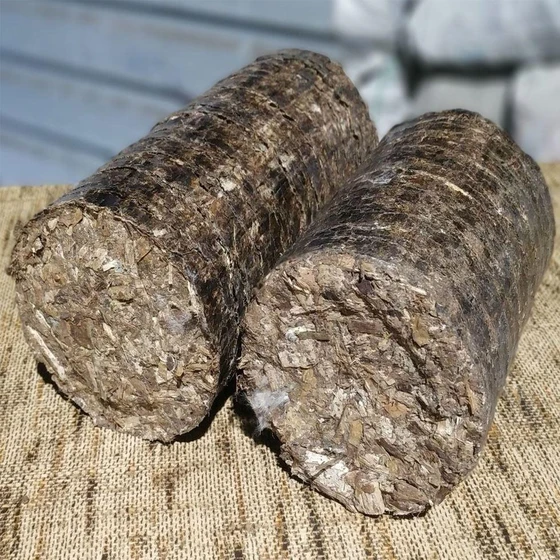 cotton-agro-wastes-2.webp